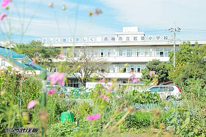 青梅市立若草小学校 611m(8分)
