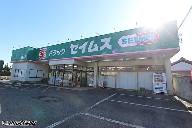 ドラッグセイムス 金子店(約1,500m・徒歩19分)