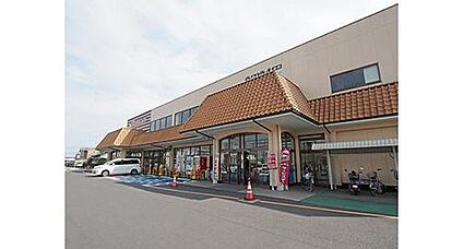 とりせん小山東店 約1200～1250ｍ(徒歩15分)