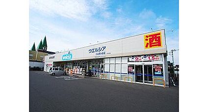 ウエルシア小山雨ケ谷店 約1700～1750ｍ(徒歩22分)