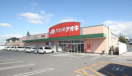 クスリのアオキ小金井店 680～750ｍ(徒歩約9～10分)