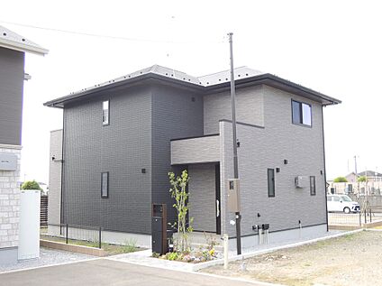 No.5 