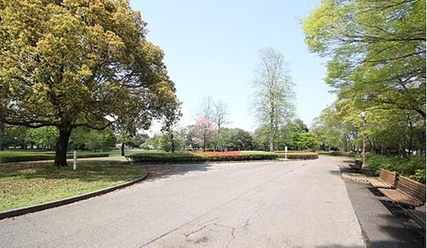 栃木市総合運動公園(約550m)