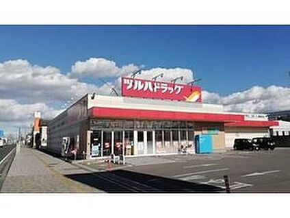 ツルハドラック　新栃木店 860m(徒歩11分)