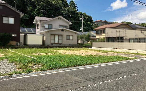 2026年9月撮影