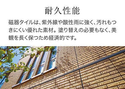 磁器タイル