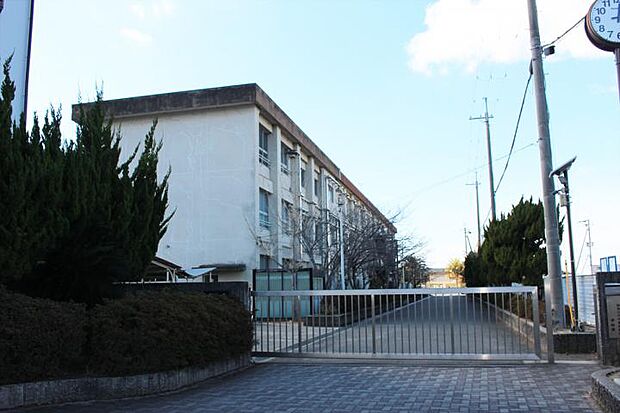 和歌山市立東中学校（約1,600m）