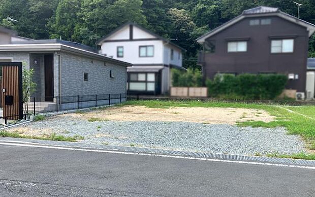 【2号地】2026年9月撮影