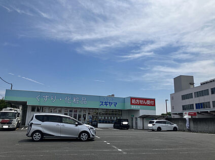 ドラッグスギヤマ津島北店 270m