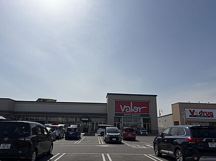 バロー上野台店 750m