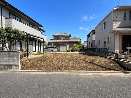 太陽の恵みあふれる現地