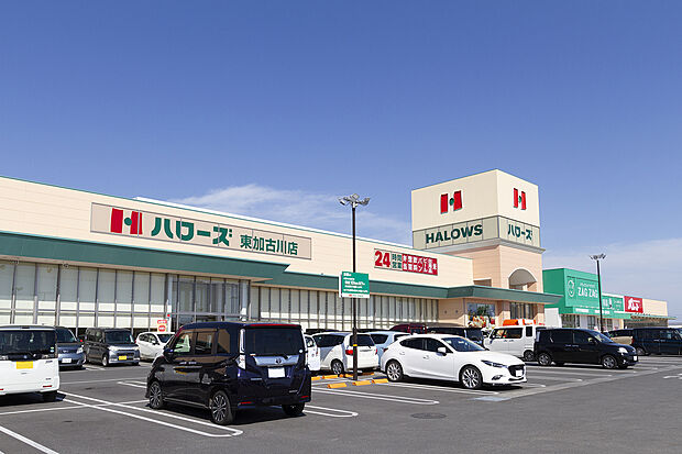 【買い物施設が充実】ハローズ東加古川店まで徒歩約10分～11分！24時間営業のスーパーが徒歩圏内にあり、日々の買い物が便利です。ハローズと並んで100円ショップやドラッグストアなどもございます。
