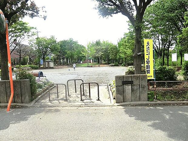 泉田向公園まで604m