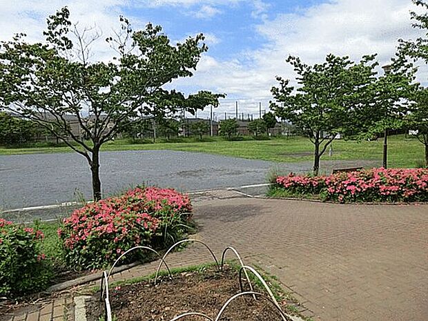 早渕公園まで1275m