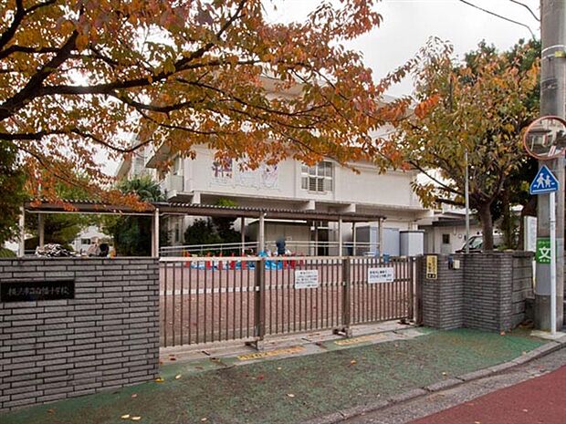 横浜市立白幡小学校まで635m