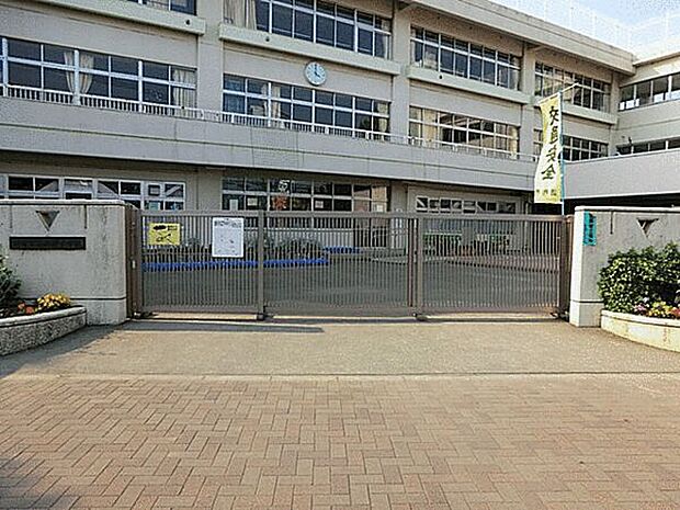 調布市立柏野小学校まで411m