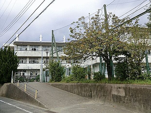 鎌倉市立第二小学校まで1218m