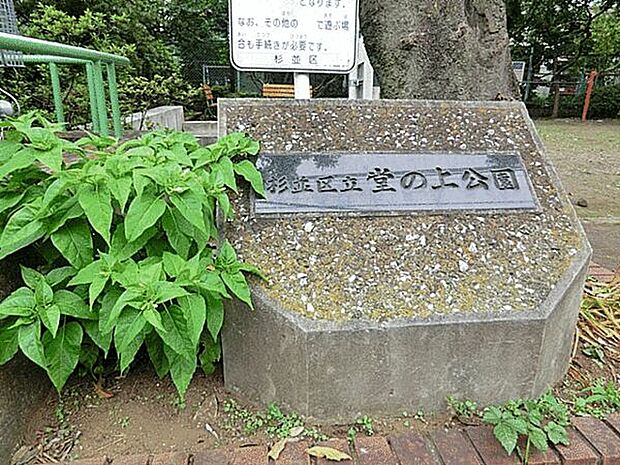 杉並区立堂の上公園まで943m