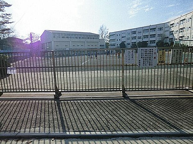 横浜市立小雀小学校まで1575m