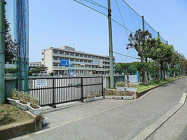藤沢市立大清水小学校まで781m