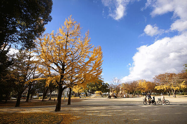 千種公園まで567m