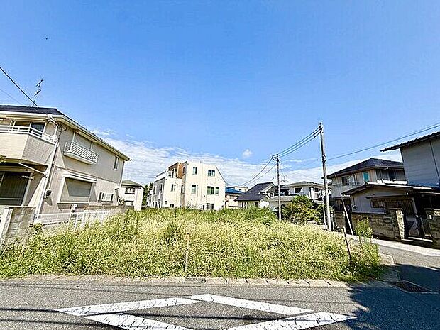 現地(土地)