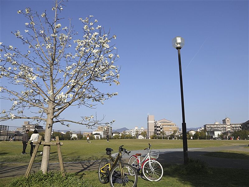 【レジャー】那珂中央公園