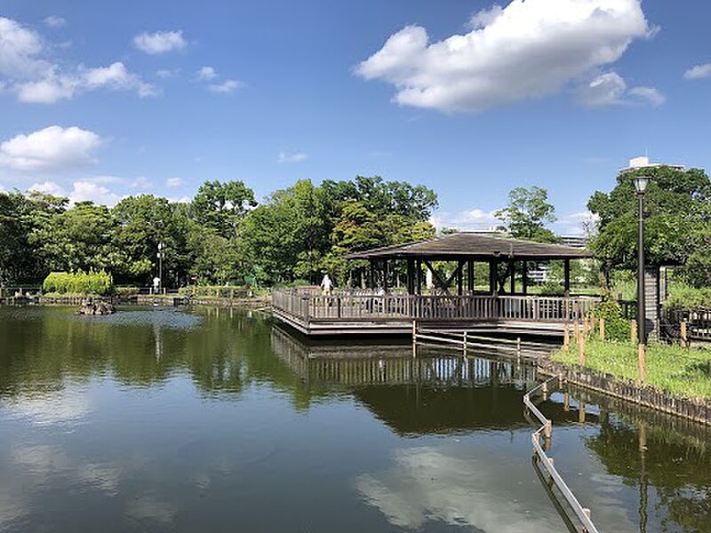 【レジャー】荒川自然公園