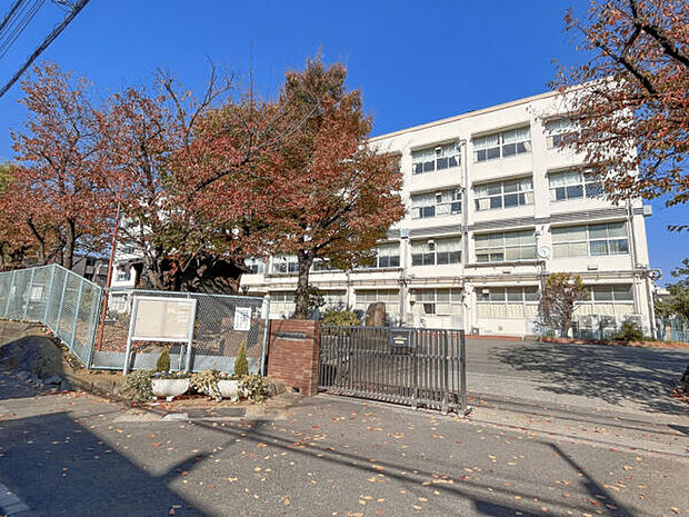 横浜市立樽町中学校（約1,800m）