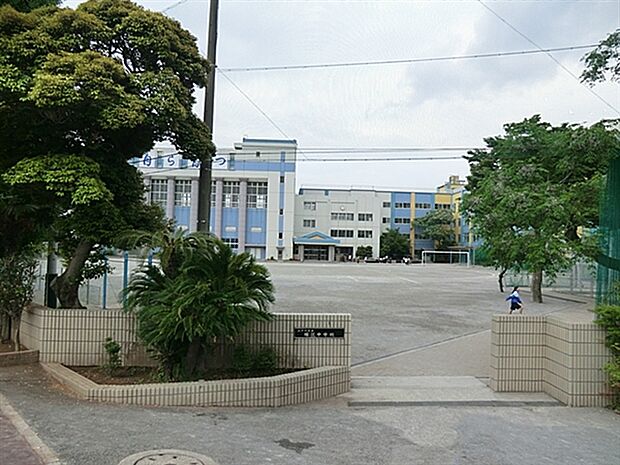 江戸川区立瑞江中学校(約607m)