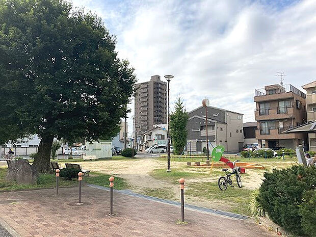 浄心公園(約206m)