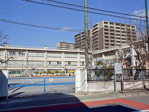 川崎市立東大島小学校(約253m)
