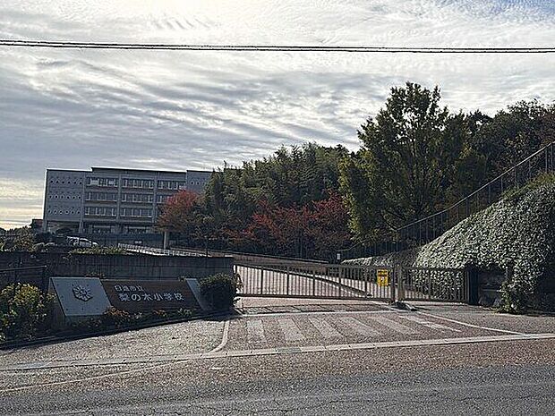 日進市立梨の木小学校(約481m)