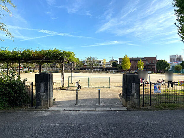 富士見公園(約229m)