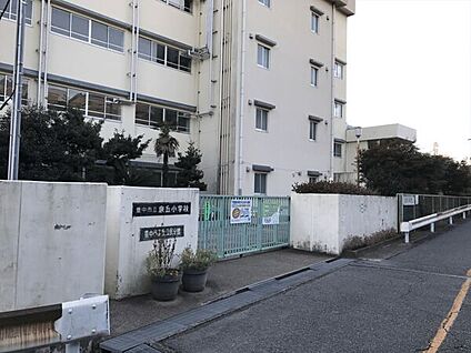 豊中市立泉丘小学校 547m