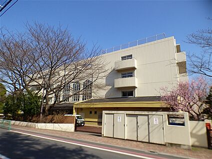 杉並区立宮前中学校 579m