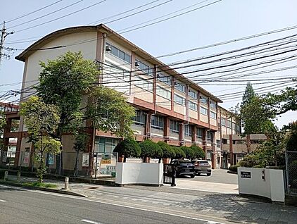 名古屋市立桜丘中学校 445m