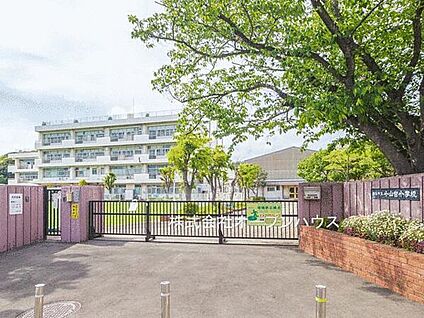 横浜市立小山台小学校 390m