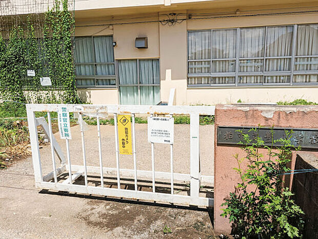 柏市立豊小学校(約689m)