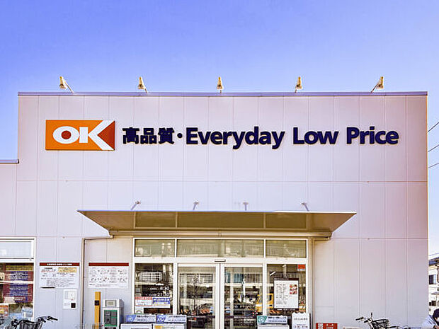 オーケー 西国分寺店（約893m）