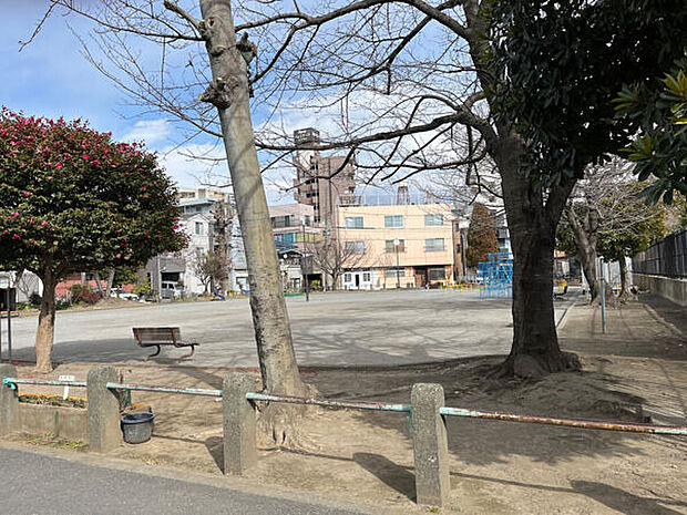 浜町公園(約477m)