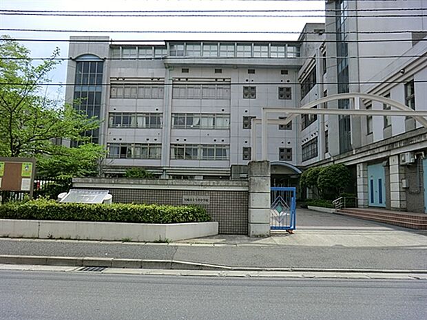 川崎市立今井中学校(約236m)