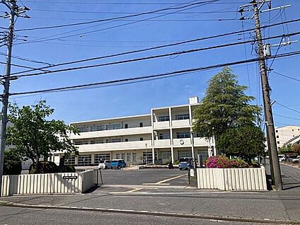 松戸市立小金中学校 1050m
