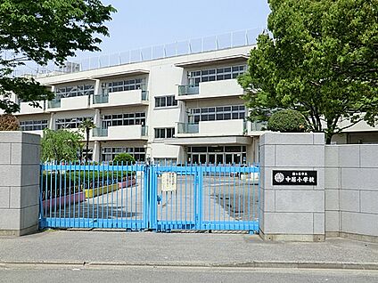川口市立中居小学校 411m