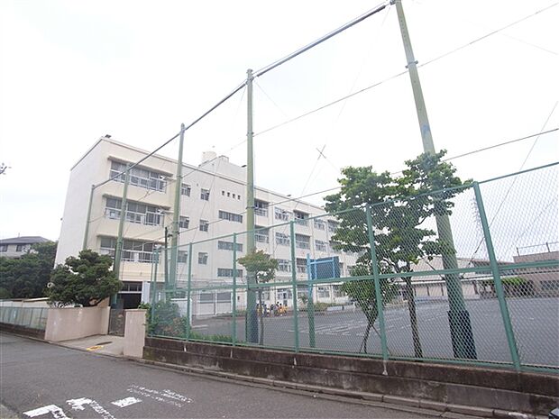 横浜市立矢部小学校(約355m)