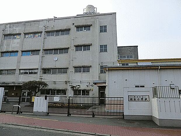 横浜市立桂台小学校（約743m）