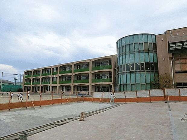 茅ヶ崎市立緑が浜小学校（約245m）