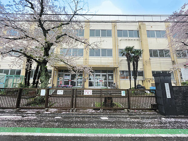 葛飾区立柴又小学校(約146m)