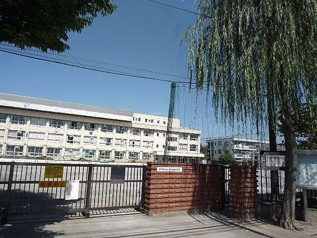 葛飾区立南綾瀬小学校(約489m)