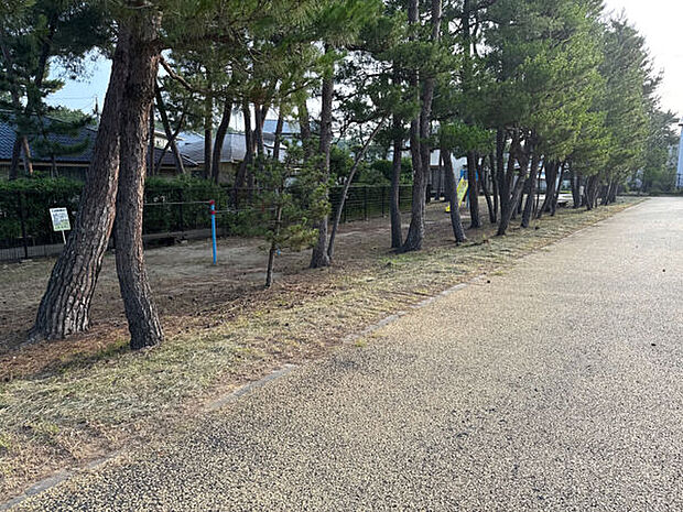 新宮浜中央公園（約993m）